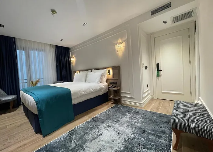 Mona Bosphorus 酒店 伊斯坦布尔