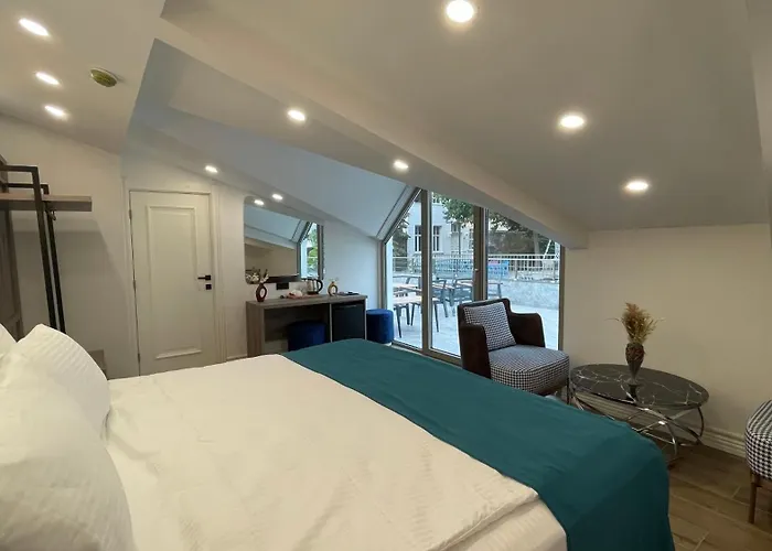 Mona Bosphorus 酒店 伊斯坦布尔