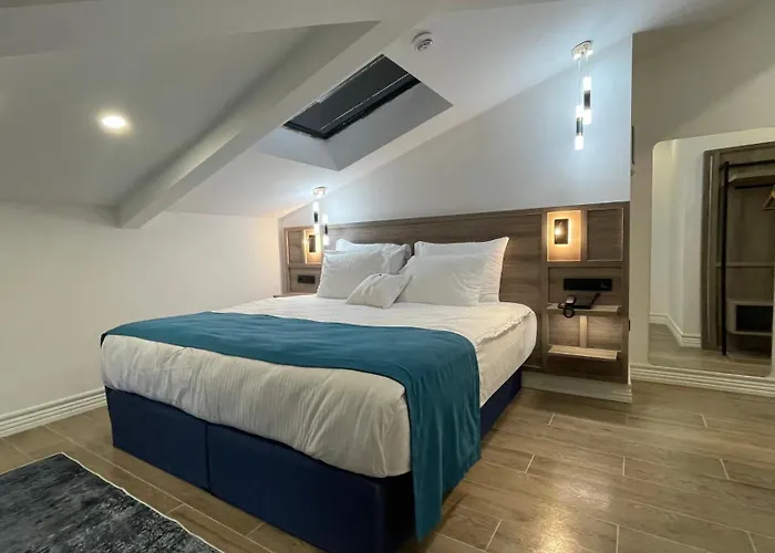 Mona Bosphorus 酒店 4*