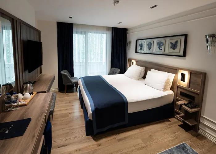 Mona Bosphorus 酒店 4*