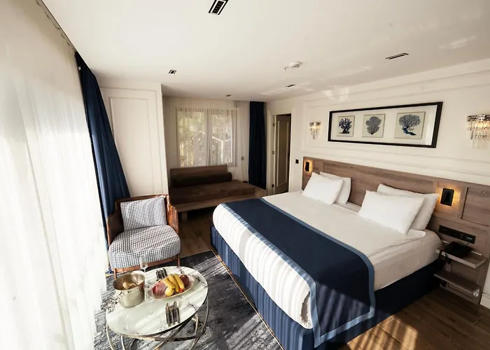 Mona Bosphorus 伊斯坦布尔