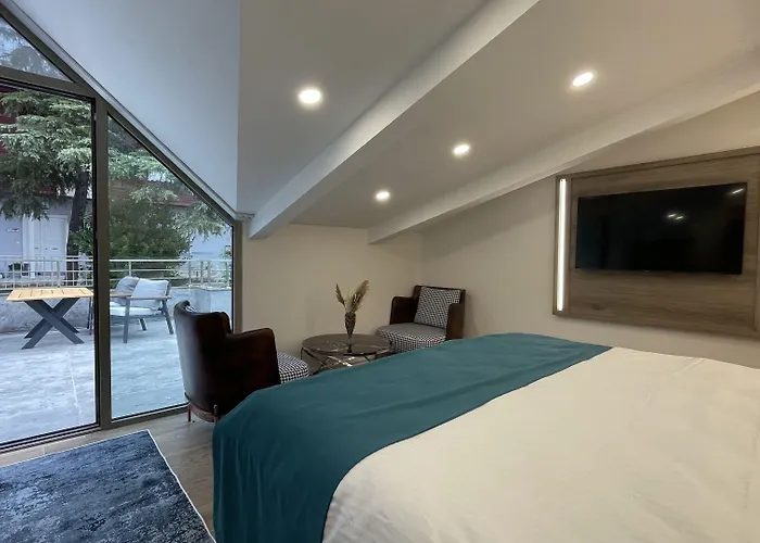 酒店 Mona Bosphorus 伊斯坦布尔